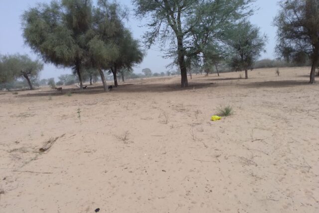 Terrain de 2,08 hectares vers Baba Garage