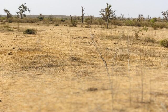 Terrain de 2,08 hectares vers Mont Rolland