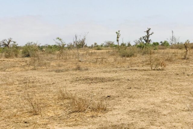 Terrain de 2,08 hectares vers Mont Rolland