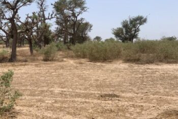 Terrain de 2,09 hectares vers Notto Diobass