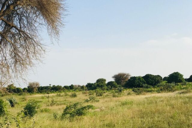 Terrain de 2,09 hectares vers Pire