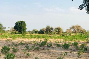 Terrain de 2,11 hectares vers Pire