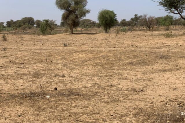 Terrain de 2,12 hectares vers Notto Diobass