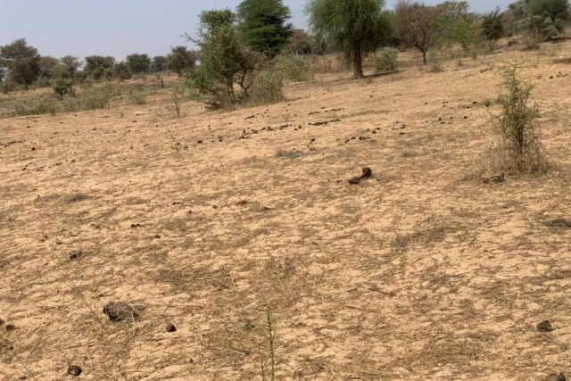 Terrain de 2,12 hectares vers Notto Diobass