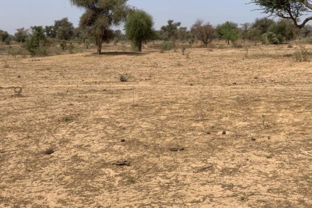 Terrain de 2,12 hectares vers Notto Diobass