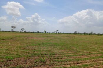 Terrain de 2,18 hectares vers Diourbel