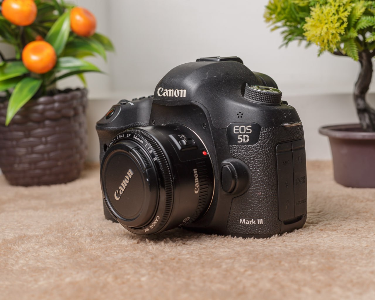 𝐂𝐚𝐧𝐨𝐧 𝟓𝐃 𝐌𝐚𝐫𝐤 𝐈𝐈𝐈 + 𝐎𝐛𝐣𝐞𝐜𝐭𝐢𝐟 𝟓𝟎𝐌𝐌