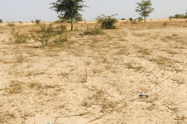 Terrain de 2,28 hectares vers Cherif Lô