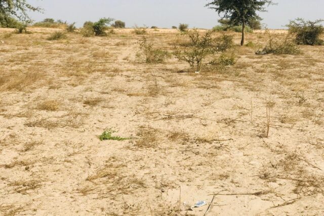 Terrain de 2,28 hectares vers Cherif Lô