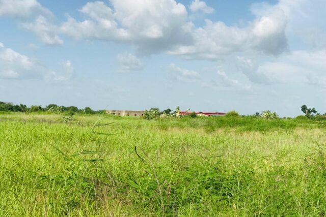 Terrain de 2,29 hectares vers Malicounda