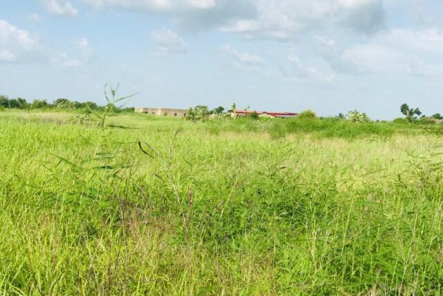 Terrain de 2,29 hectares vers Malicounda