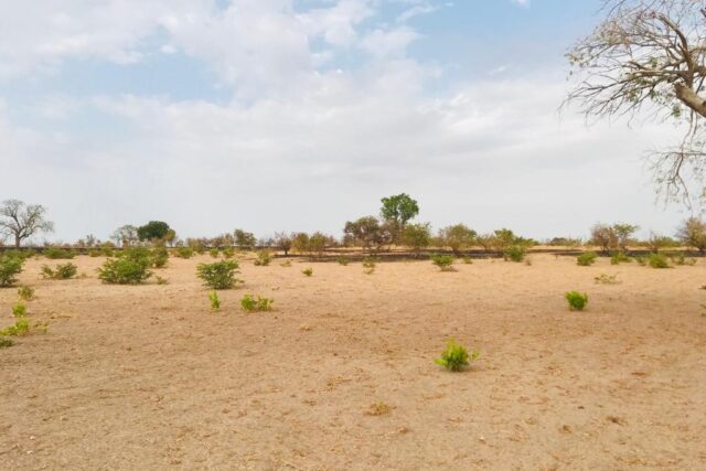 Terrain de 2,3 hectares vers Koungheul