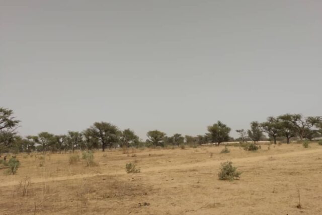 Terrain de 2,30 hectares vers Sindia