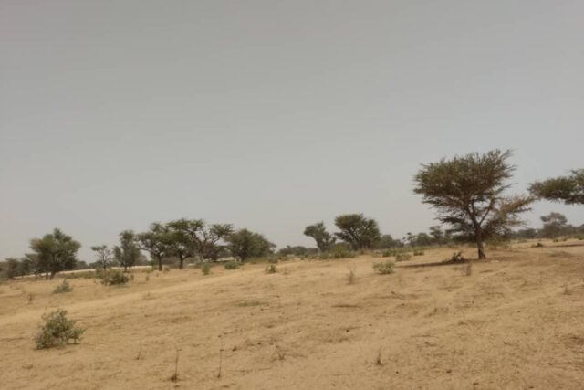 Terrain de 2,30 hectares vers Sindia