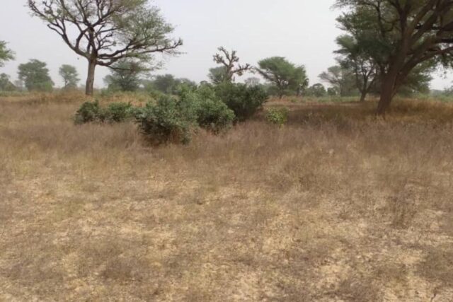 Terrain de 2,33 hectares vers Notto Diobass