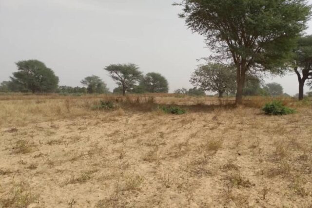 Terrain de 2,33 hectares vers Notto Diobass