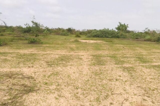 Terrain de 2,4 hectares vers Diender Terrain de 2,4 hectares vers Diender