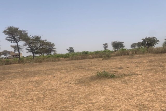 Terrain de 2,4 hectares vers Notto Diobass Terrain de 2,4 hectares vers Notto Diobass