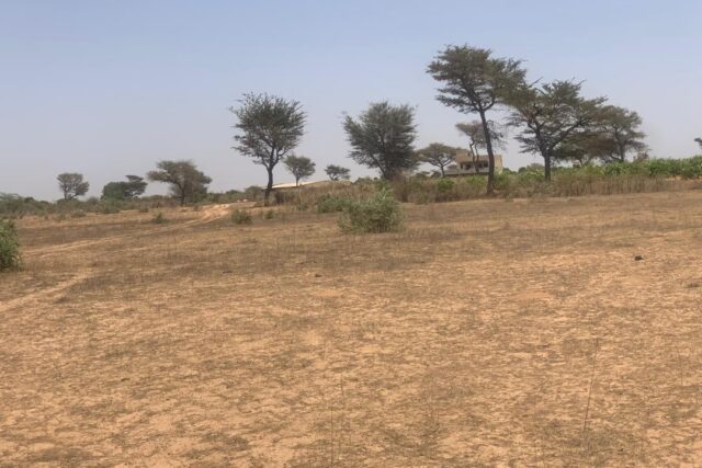 Terrain de 2,4 hectares vers Notto Diobass