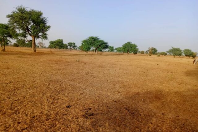 Terrain de 2,43 hectares vers Tassette Terrain de 2,43 hectares vers Tassette