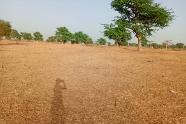 Terrain de 2,43 hectares vers Tassette