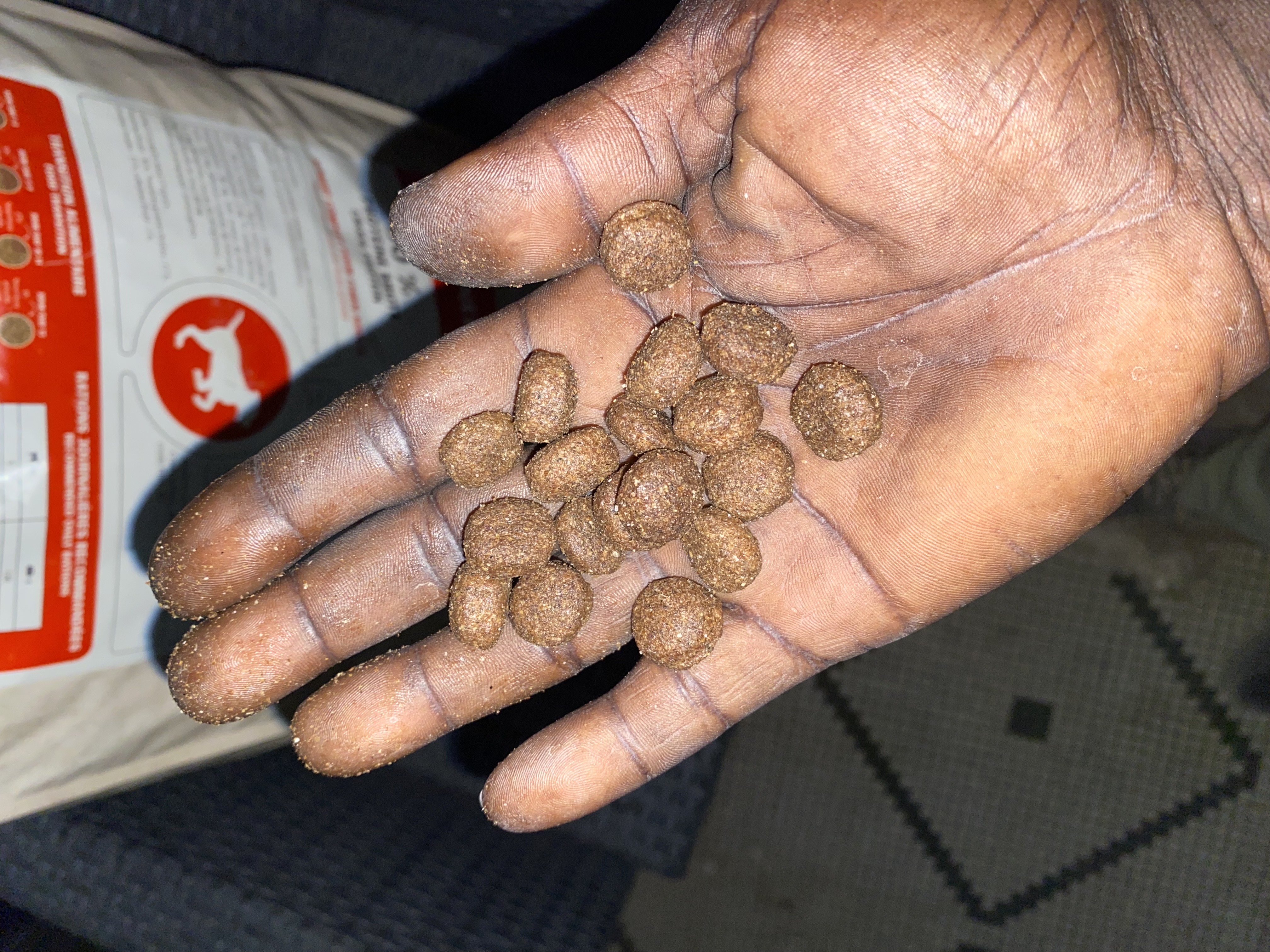 aliment complet pour chiens adulte protéine complet