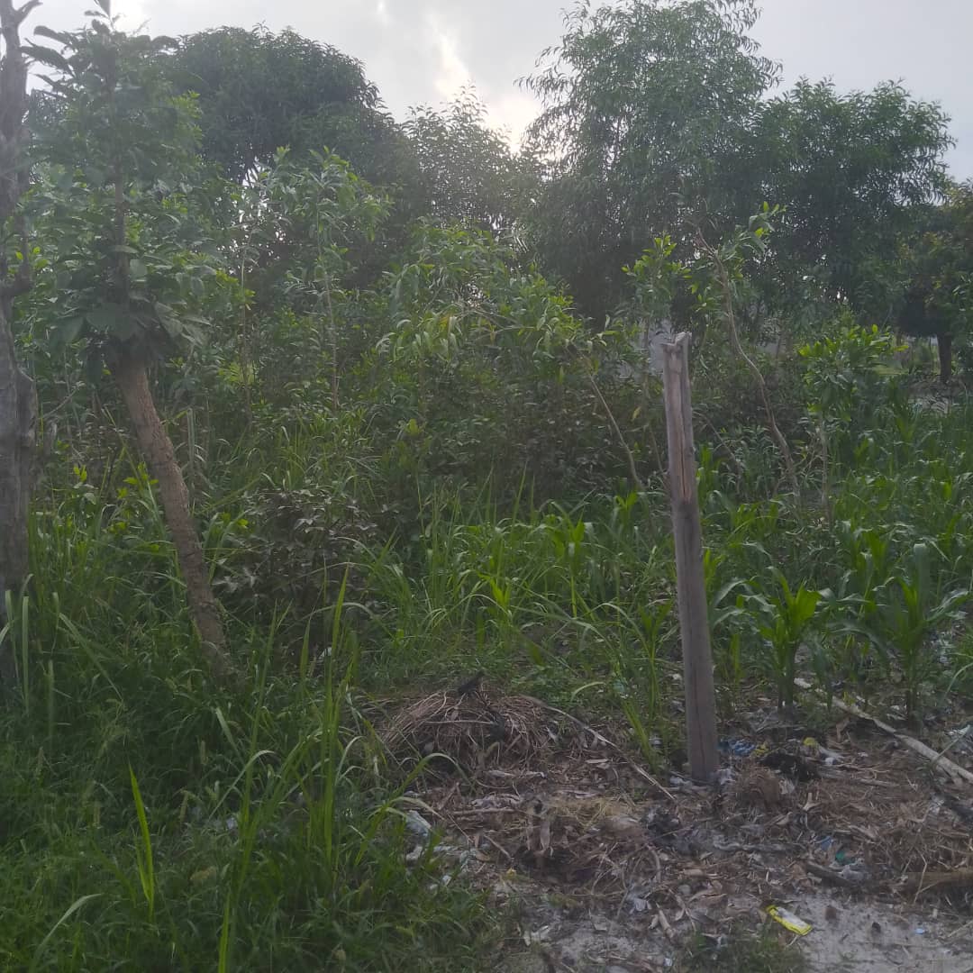 PARCELLE À VENDRE À PAHOU URGENT