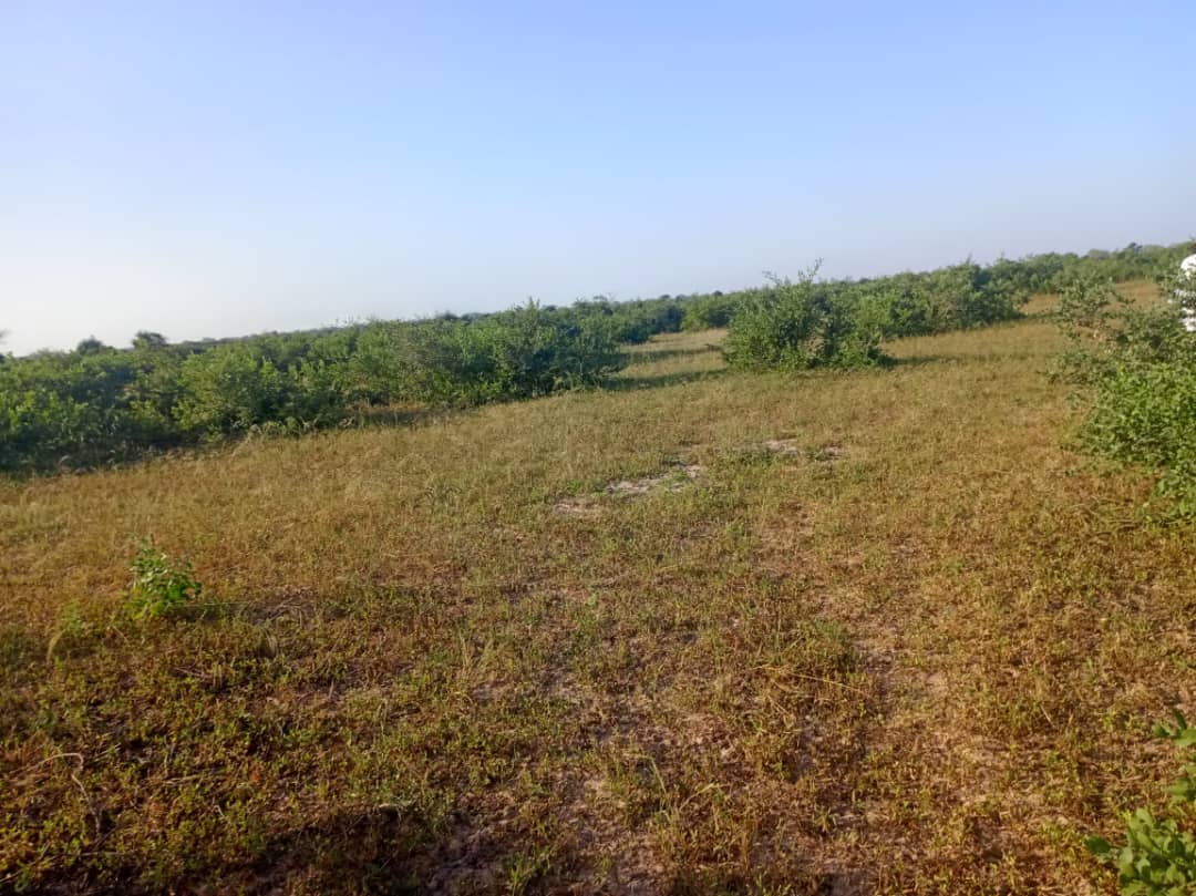 Terrain de 9 hectares vers Notto Diobass Terrain de 9 hectares vers Notto Diobass