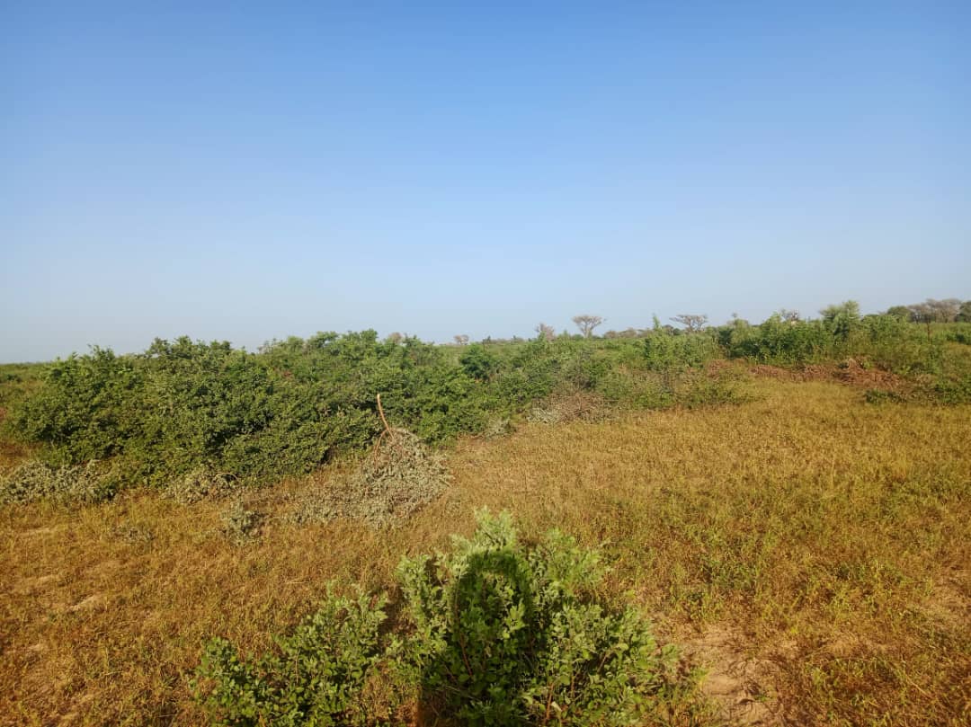 Terrain de 9 hectares vers Notto Diobass