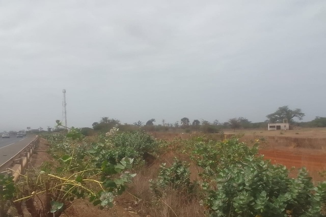 Verger de 13 hectares vers Sindia Verger de 13 hectares vers Sindia