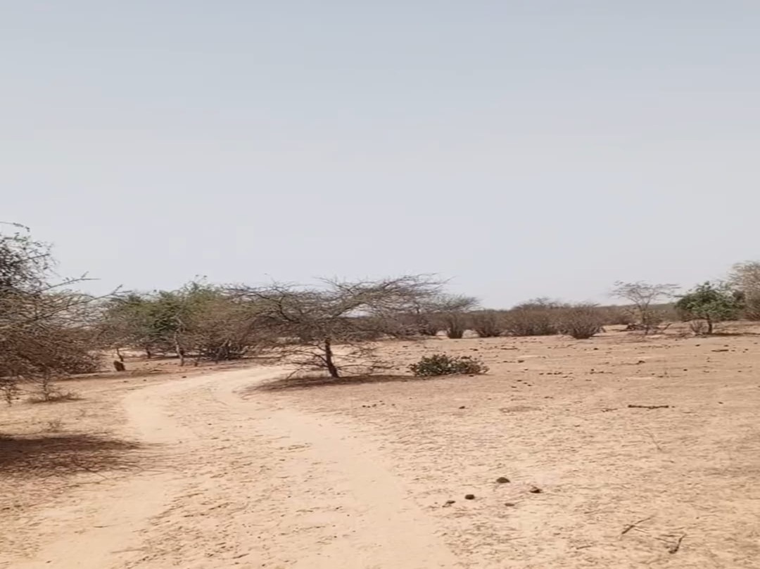 Terrain de 10 hectares vers Ross Béthio
