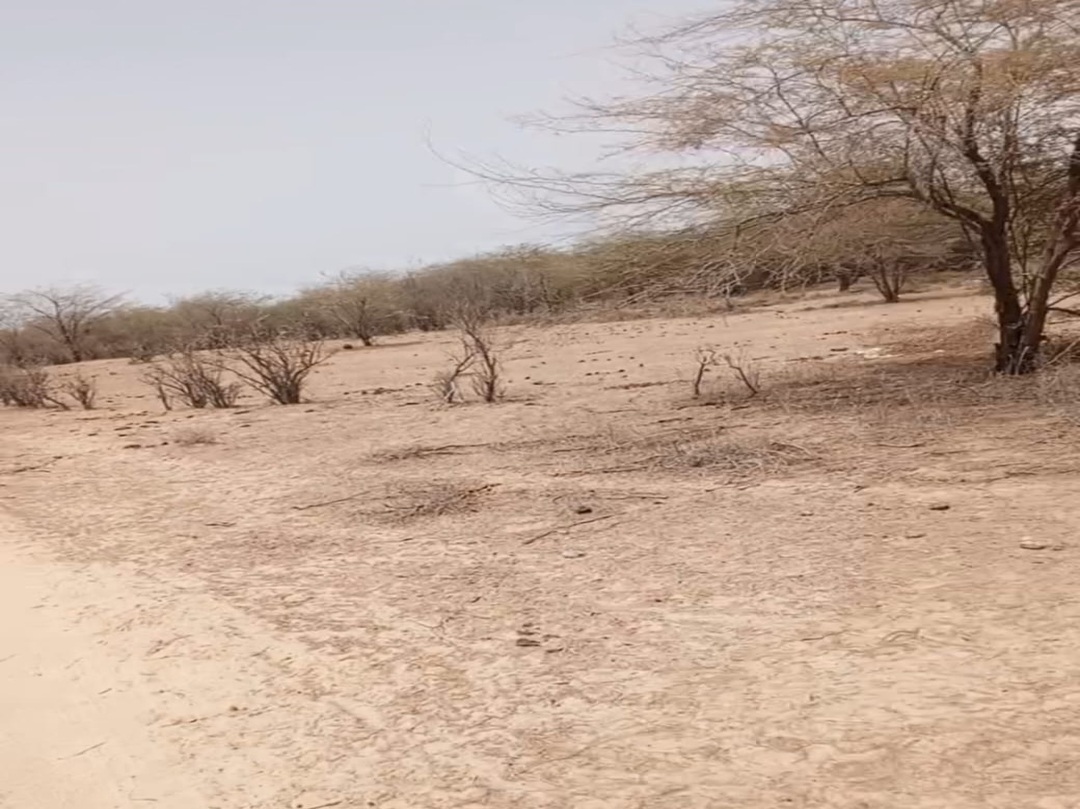 Terrain de 10 hectares vers Ross Béthio