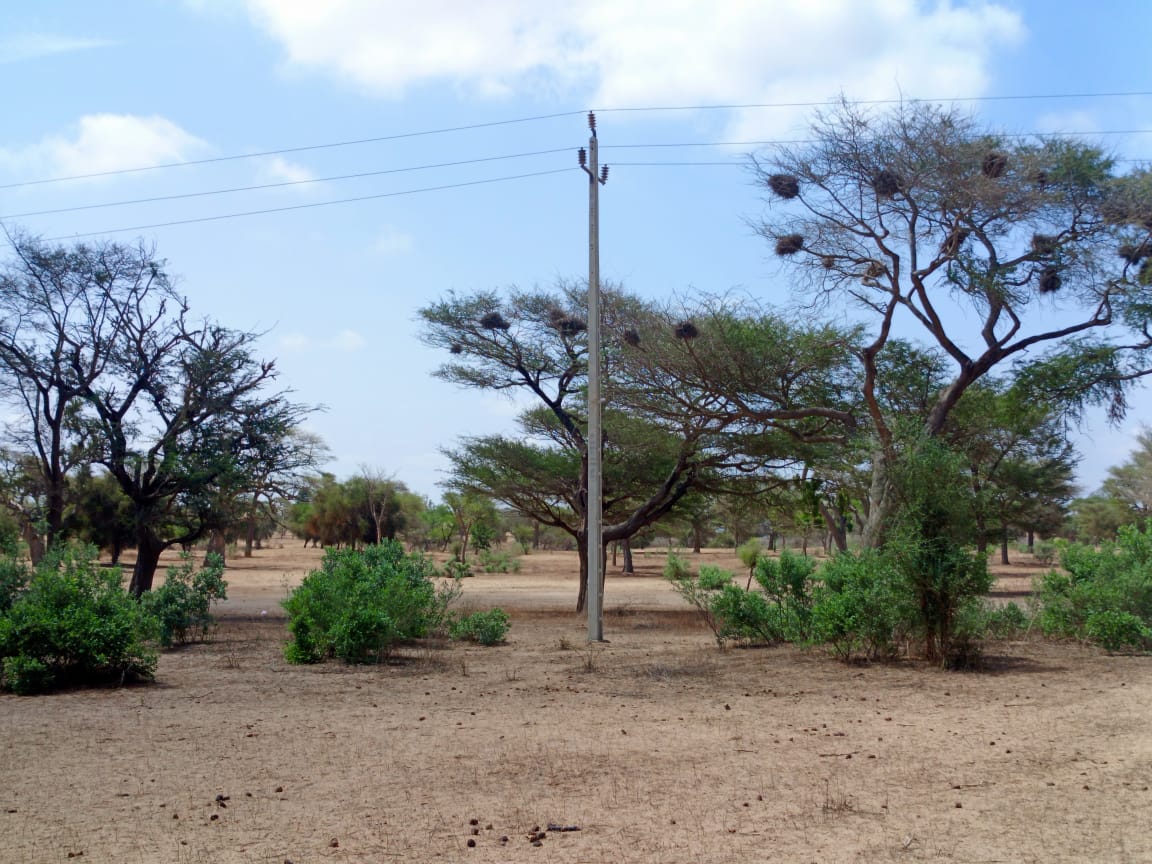 Terrain de 21,05 hectares vers Thiénaba Terrain de 21,05 hectares vers Thiénaba