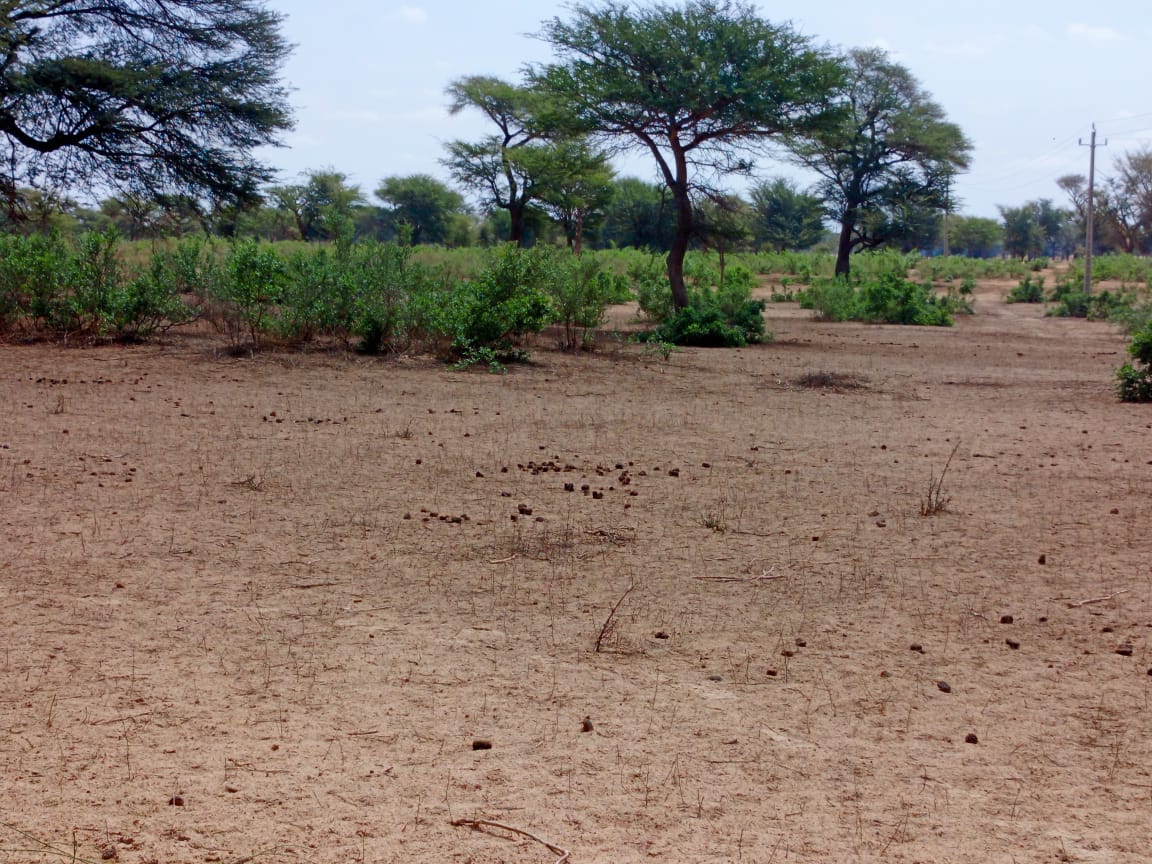 Terrain de 21,05 hectares vers Thiénaba