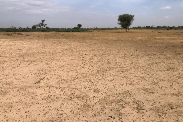 Terrain de 9 000 m² vers Tassette Terrain de 9 000 m² vers Tassette