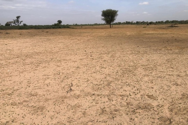 Terrain de 9 000 m² vers Tassette