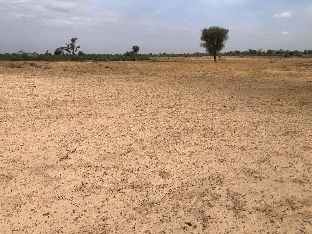 Terrain de 9 000 m² vers Tassette