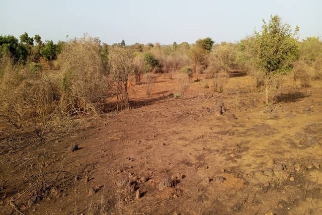 Terrain de 1,5 hectare vers Sindia Terrain de 1,5 hectare vers Sindia