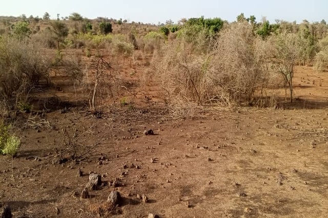 Terrain de 1,5 hectare vers Sindia