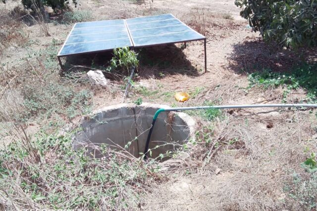 Verger de 2 hectares vers Taiba Ndiaye