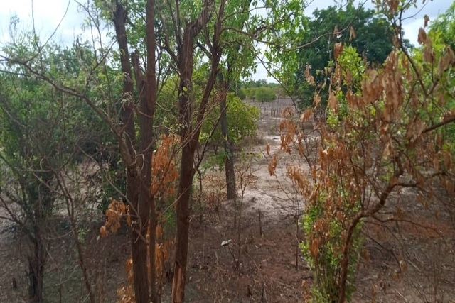 Terrain de 100 hectares vers Linkering Terrain de 100 hectares vers Linkering