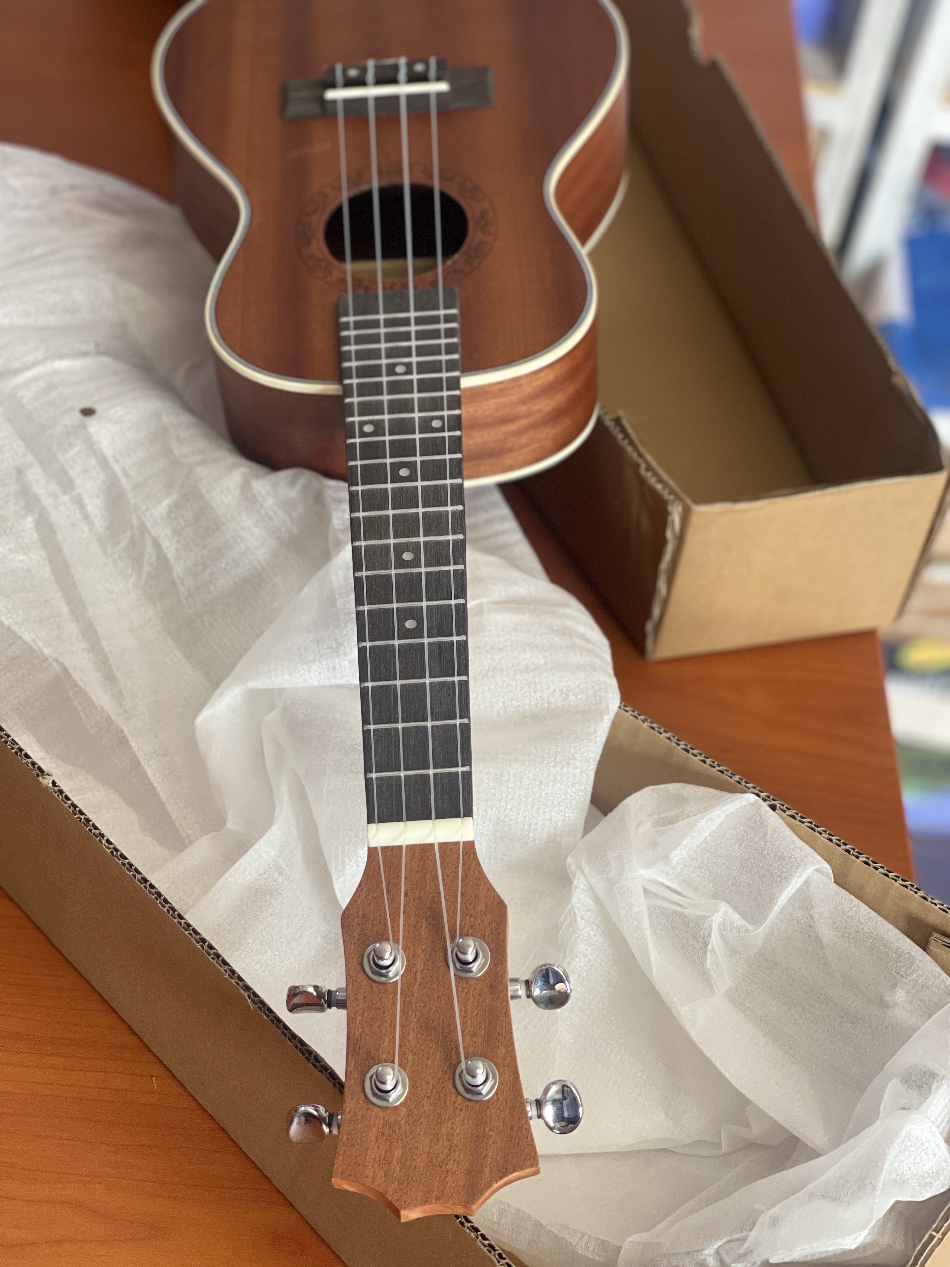 UKULELE 24” M24