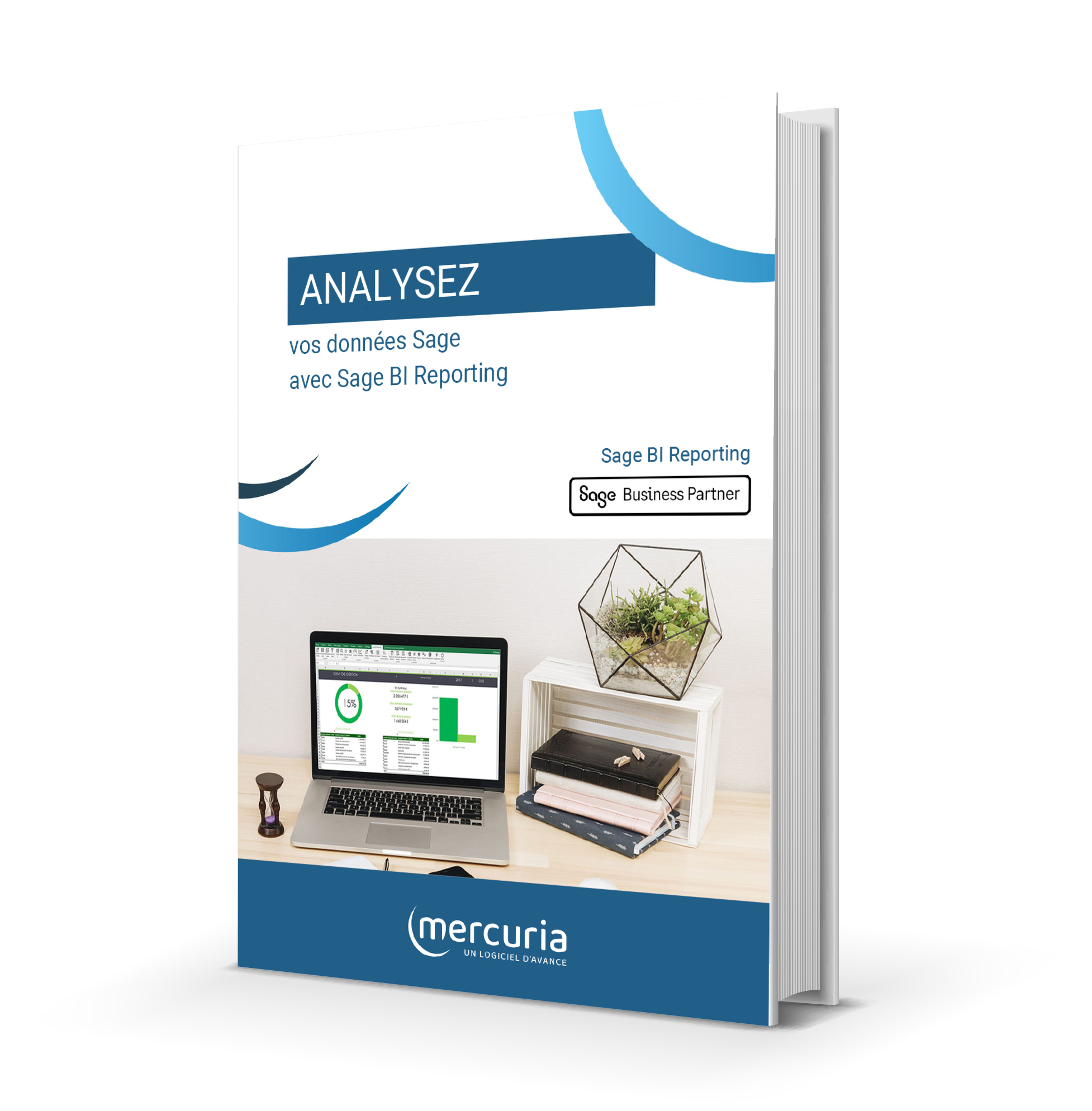 SAGE 100 BI REPORTING + LICENCE 10 ANS
