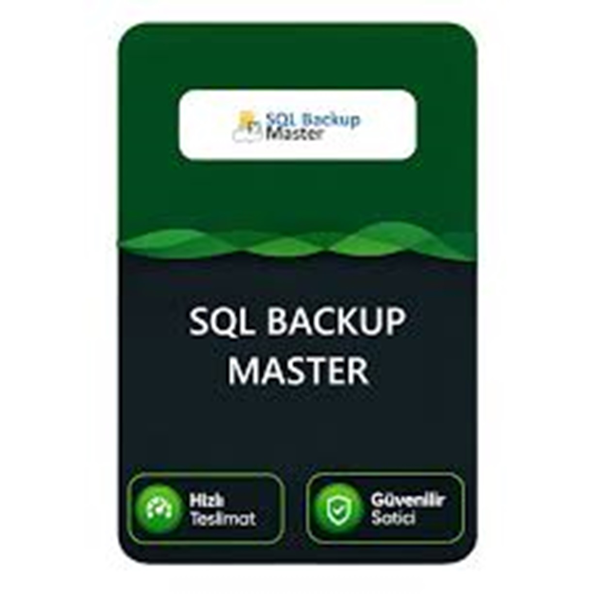 SQL Backup Master - LICENCE DEFINITIVE
