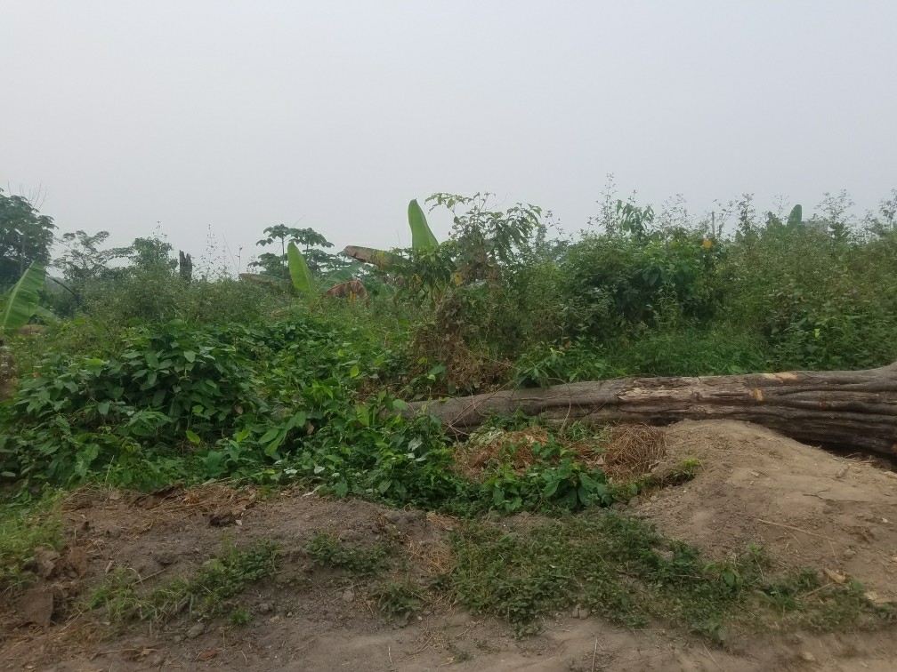 chrix_market_ec0193 chrix_market_ec0193