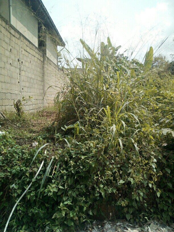 annetteondo01 annetteondo01