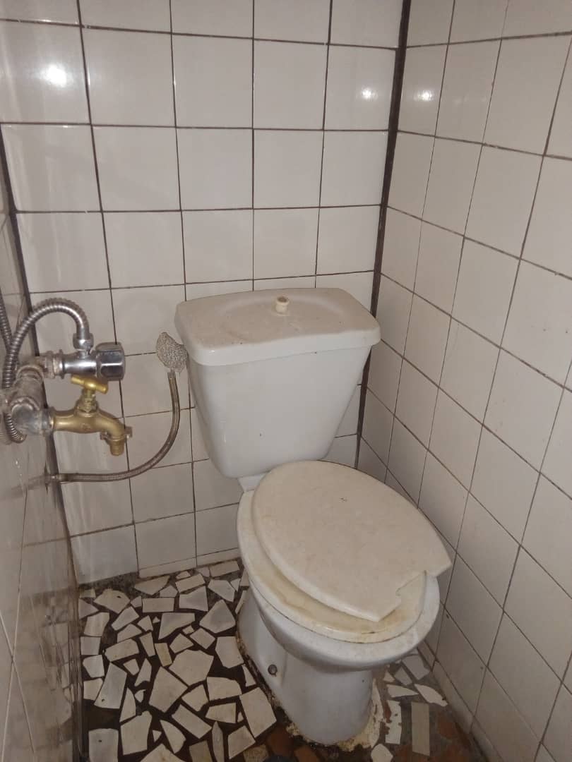 daniellepers12 daniellepers12