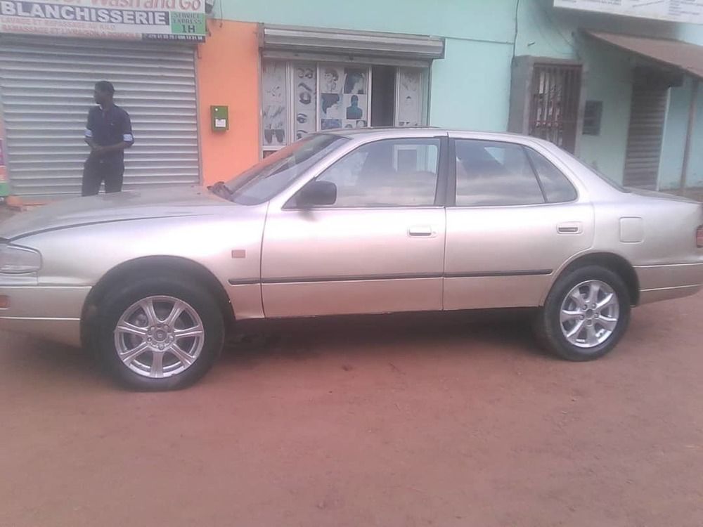 charlottevien1 charlottevien1