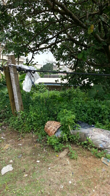 risaandini39 risaandini39