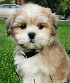 3004870610 3004870610